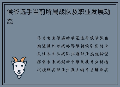 侯爷选手当前所属战队及职业发展动态