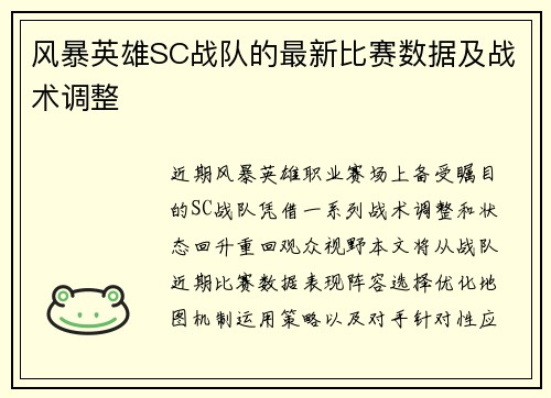 风暴英雄SC战队的最新比赛数据及战术调整